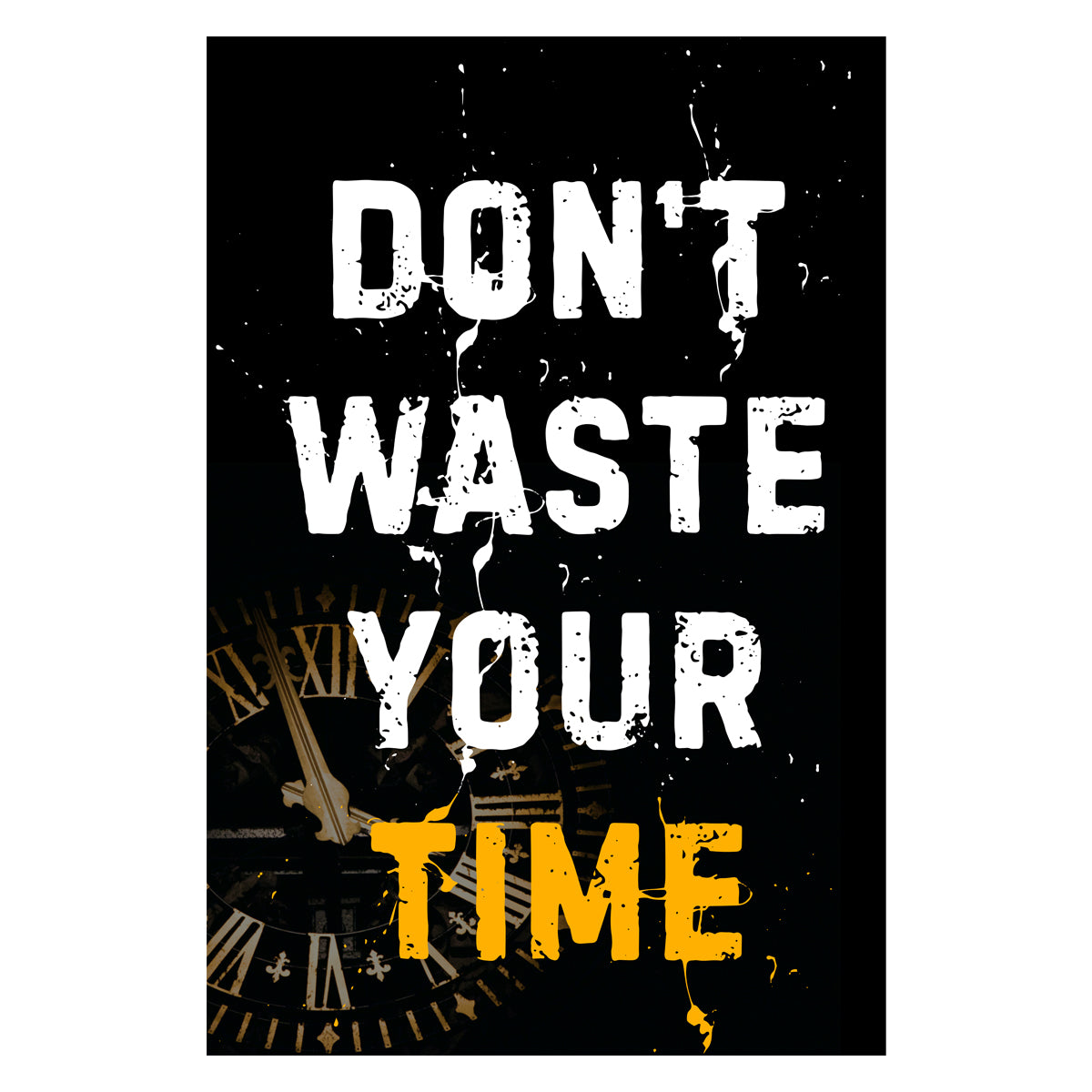 Dont Waste Your Time Canvas 