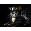 Funky Cat Canvas 