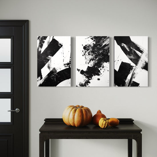 Noir Blanc Set of 3 Wall Art 