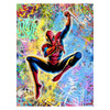 Spiderman Canvas 